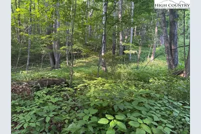 Lot 58 & 59 Beechwood Circle, Creston, NC 28615 - Photo 1