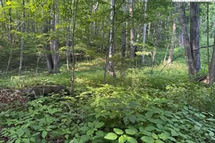 Lot 58 59 Beechwood Cir, Creston, NC 28615 - Photo 1