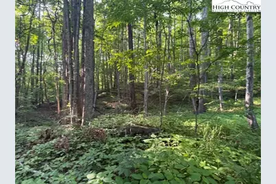 Lot 58 & 59 Beechwood Circle, Creston, NC 28615 - Photo 4