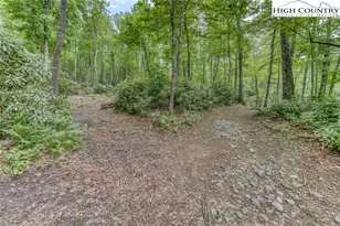 183 Windshaken Ln, Newland, NC 28657 - Photo 44