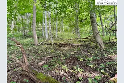 Tract 1 Oak Trail, Creston, NC 28615 - Photo 12