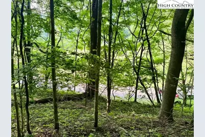 Tract 1 Oak Trail, Creston, NC 28615 - Photo 2