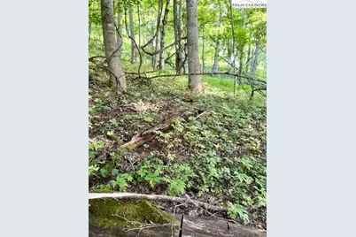 Tract 1 Oak Trail, Creston, NC 28615 - Photo 4