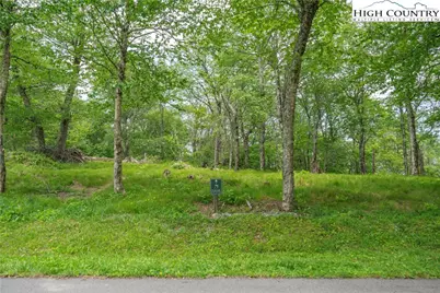 75 Green Cliffs Road, Sugar Mountain, NC 28604 - Photo 8