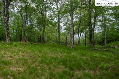 75 Green Cliffs Road, Sugar Mountain, NC 28604 - Photo 2