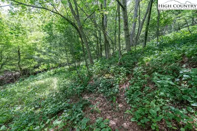 Lot 36B Indian Springs Road, Boone, NC 28607 - Photo 14