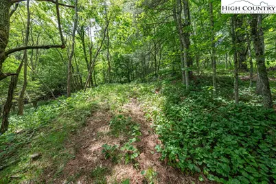 Lot 36B Indian Springs Road, Boone, NC 28607 - Photo 10