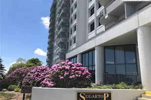 303 Sugar Top Dr, Sugar Mountain, NC 28604 - Photo 2