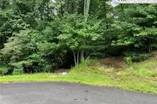 Lot 43 Creek Ct, Jefferson, NC 28640 - Photo 1