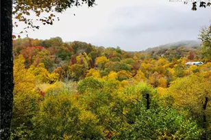 492 Skyland View Dr, Blowing Rock, NC 28605 - Photo 46