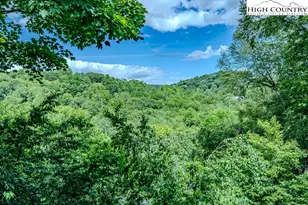 492 Skyland View Dr, Blowing Rock, NC 28605 - Photo 4