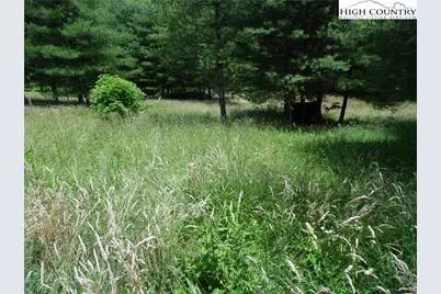 Tbd Highway 18 North, Sparta, NC 28675 - Photo 12