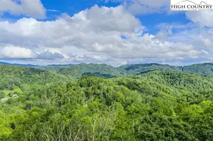 876 Courtney Ln, Vilas, NC 28692 - Photo 40