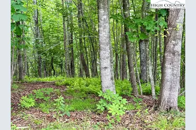 Lot 20 Twin Bridges Circle, Fleetwood, NC 28626 - Photo 1