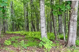 Lot 20 Twin Bridges Circle, Fleetwood, NC 28626 - Photo 1