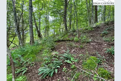 Lot 20 Twin Bridges Circle, Fleetwood, NC 28626 - Photo 14