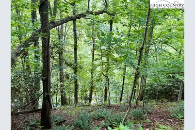 Lot 20 Twin Bridges Circle, Fleetwood, NC 28626 - Photo 10