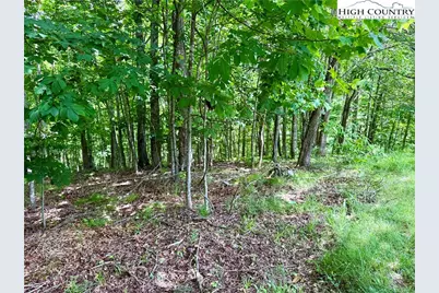 Lot 20 Twin Bridges Circle, Fleetwood, NC 28626 - Photo 4