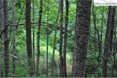 Lot 3 Sec 11 Talons Drive, Boone, NC 28607 - Photo 16