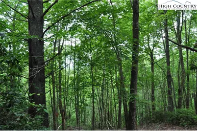 Lot 3 Sec 11 Talons Drive, Boone, NC 28607 - Photo 10