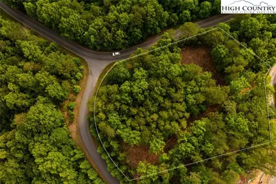 52 Coral Bells Trail, Ferguson, NC 28624 - Photo 4