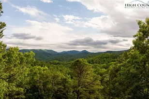 52 Coral Bells Trail, Ferguson, NC 28624 - Photo 1