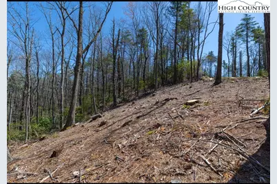 84 Wilderness Reserve Parkway, Deep Gap, NC 28618 - Photo 8