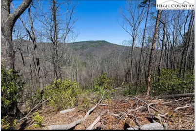 84 Wilderness Reserve Parkway, Deep Gap, NC 28618 - Photo 10