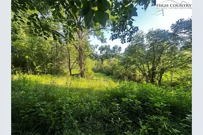 2034 Champion Mt Pleasant Road, Ferguson, NC 28624 - Photo 38