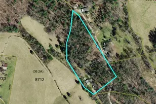 2034 Champion Mt Pleasant Rd, Ferguson, NC 28624 - Photo 1