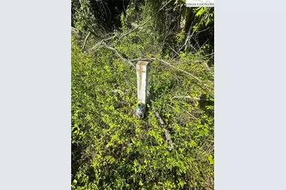 2034 Champion Mt Pleasant Road, Ferguson, NC 28624 - Photo 6