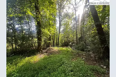 2034 Champion Mt Pleasant Road, Ferguson, NC 28624 - Photo 36