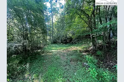 2034 Champion Mt Pleasant Road, Ferguson, NC 28624 - Photo 14