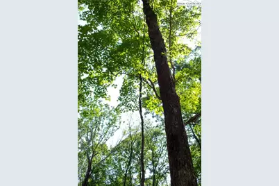 Lot 42 Poplar Forest Drive, Boone, NC 28607 - Photo 18