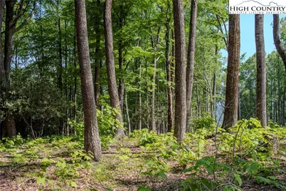 Lot 42 Poplar Forest Drive, Boone, NC 28607 - Photo 6