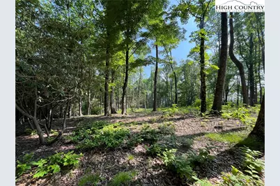 Lot 42 Poplar Forest Drive, Boone, NC 28607 - Photo 8