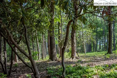 Lot 42 Poplar Forest Drive, Boone, NC 28607 - Photo 16