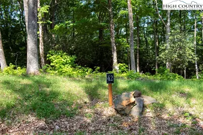 Lot 42 Poplar Forest Drive, Boone, NC 28607 - Photo 1