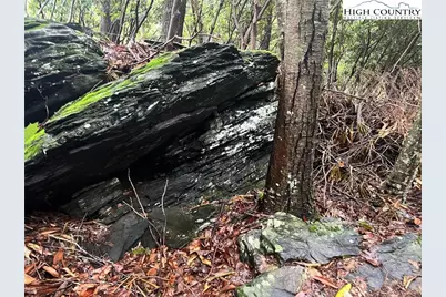 Lot 42 Poplar Forest Drive, Boone, NC 28607 - Photo 20