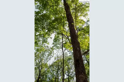 Lot 42 Poplar Forest Drive, Boone, NC 28607 - Photo 14