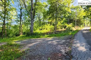 Lot 1 Hemlock Pl, Banner Elk, NC 28604 - Photo 1