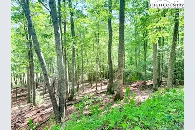 Lot 42 Smoke Rise Path, West Jefferson, NC 28694 - Photo 6