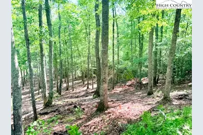 Lot 42 Smoke Rise Path, West Jefferson, NC 28694 - Photo 8