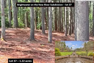 Lot 37 Smoke Rise Path, West Jefferson, NC 28694 - Photo 1