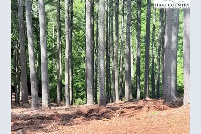 Lot 37 Smoke Rise Path, West Jefferson, NC 28694 - Photo 4