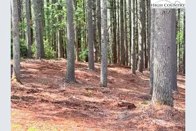 Lot 37 Smoke Rise Path, West Jefferson, NC 28694 - Photo 12