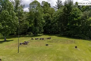 1424 Bear Creek Rd, Bakersville, NC 28705 - Photo 24