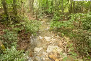 230 Westcove Ln, Boone, NC 28607 - Photo 34