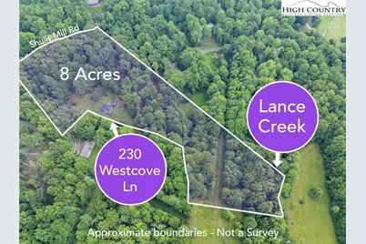 230 Westcove Lane, Boone, NC 28607 - Photo 4