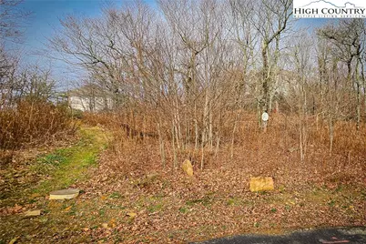 Lot 96 Cloud Spring Drive, Sugar Mountain, NC 28604 - Photo 8